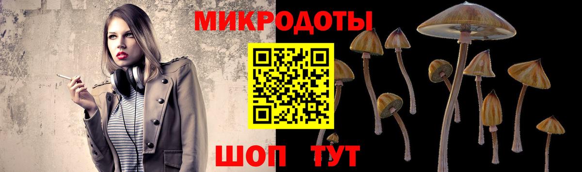 Галлюциногенные грибы Psilocybine cubensis  Галлюциногенные грибы Cubensis  Ульяновск  Вход с VPN 
